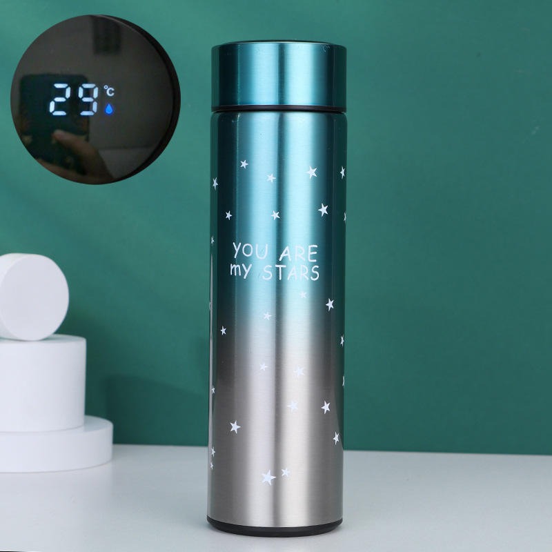 Smart LED Temperature Water Bottle 500ml