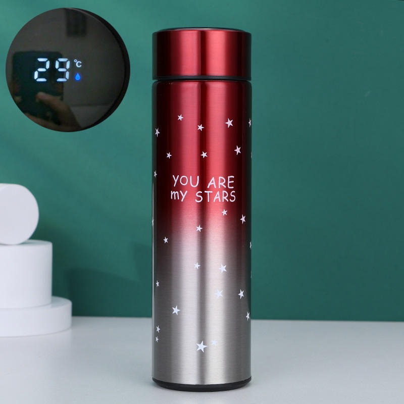 Smart LED Temperature Water Bottle 500ml