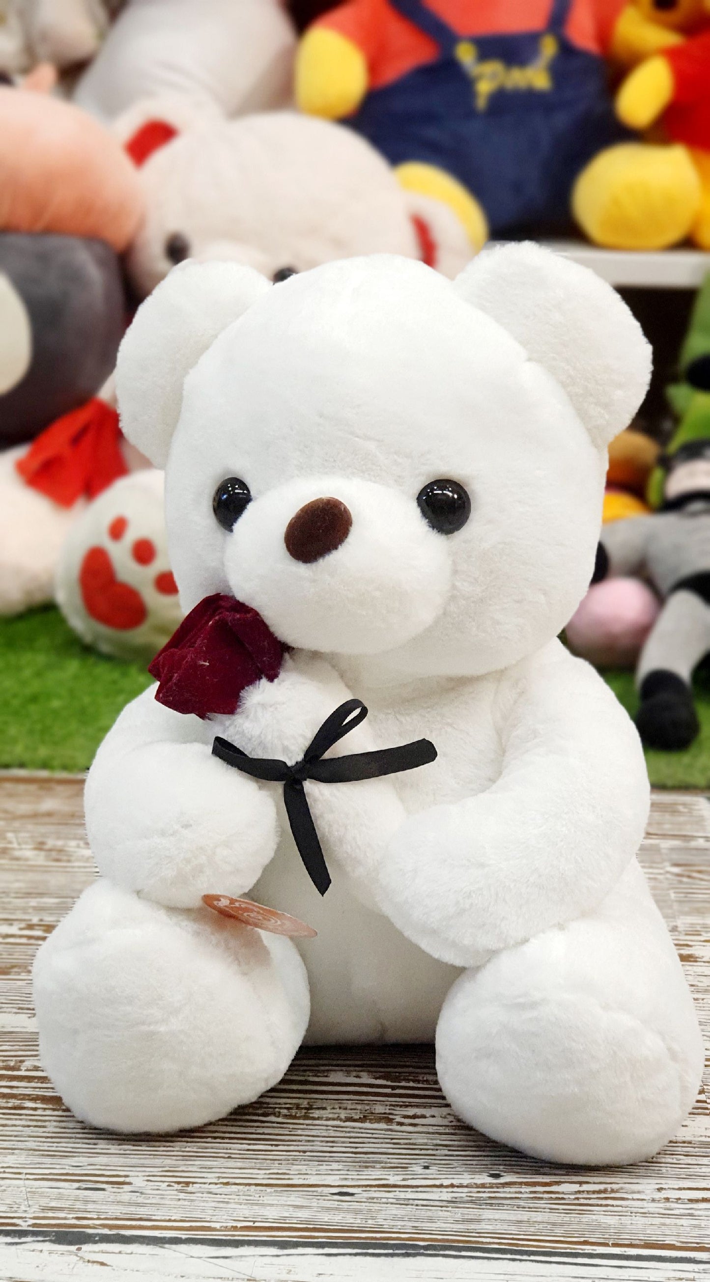 TEDDY BEAR ROSE 40CM