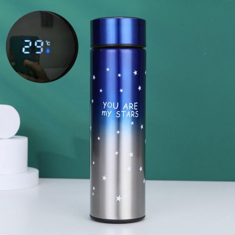 Smart LED Temperature Water Bottle 500ml