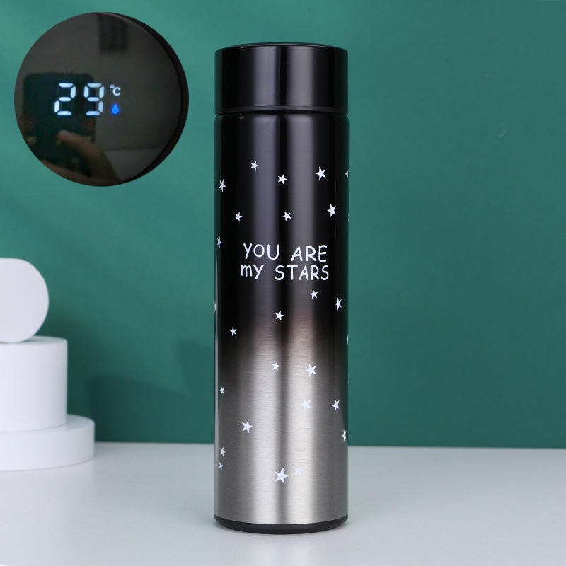 Smart LED Temperature Water Bottle 500ml